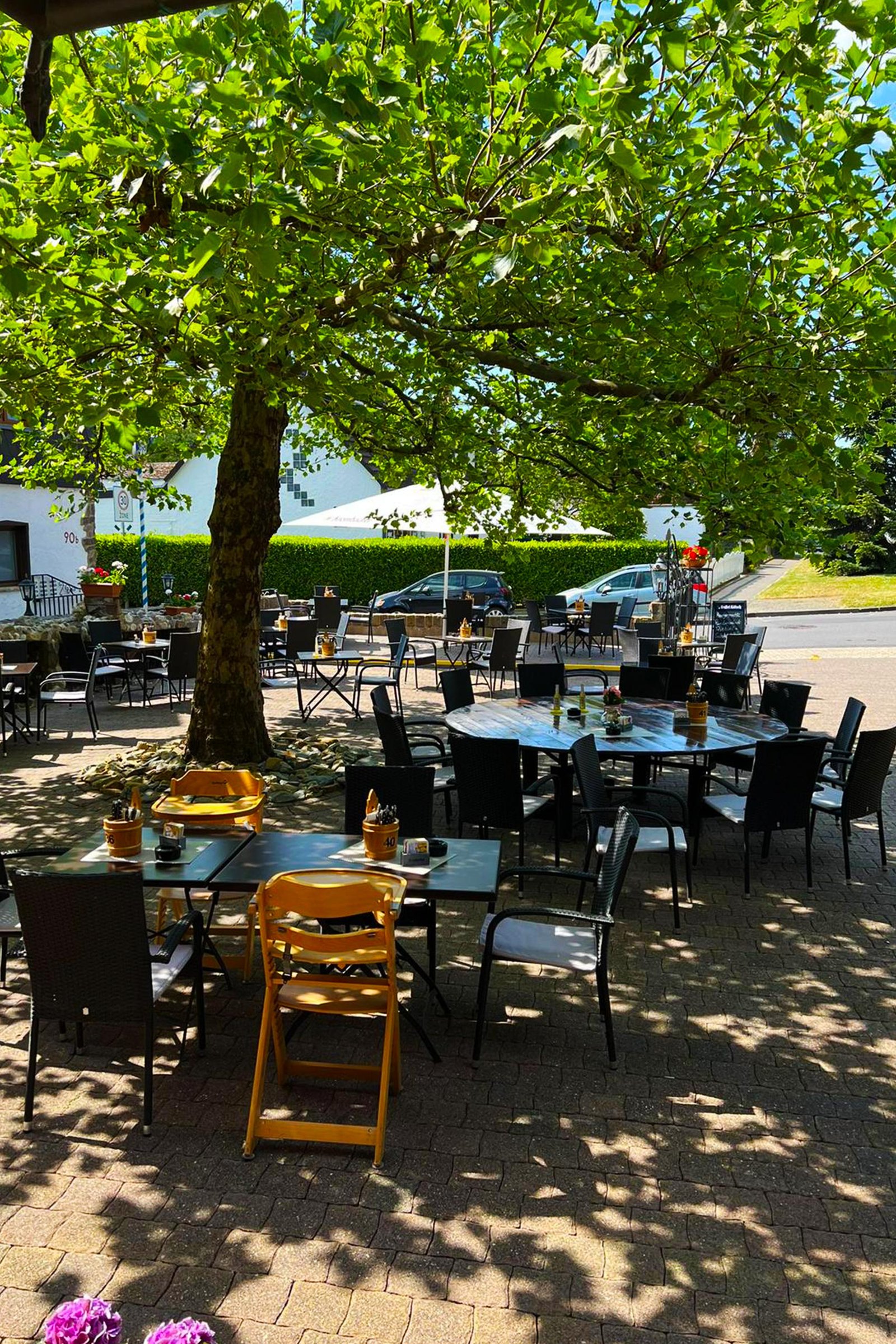 Biergarten des Mönchhofs unter alten Bäumen